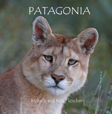Patagonia (Lg) book cover