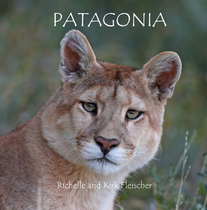 View Patagonia (Lg) by Richelle and Kirk Fleischer