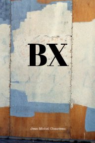 Bx book cover