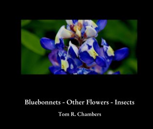 Bluebonnets - Other Flowers - Insects book cover