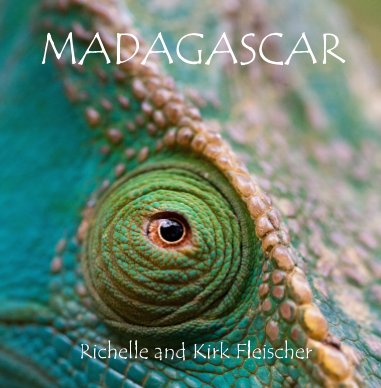 Madagscsar (Lg) book cover