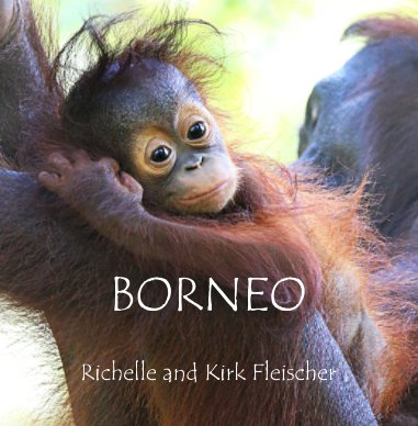 Borneo (Lg) book cover