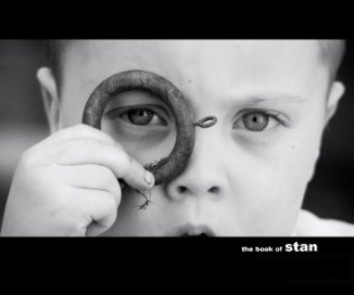 the book of stan book cover