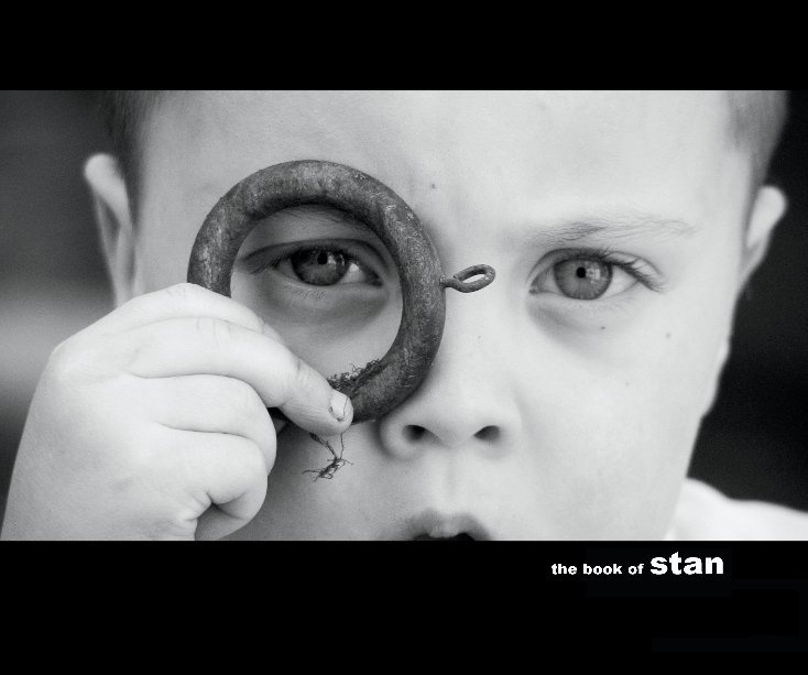 View the book of stan by Joe Buck