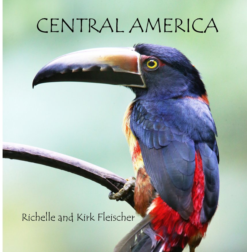 Ver Central America (Lg) por Richelle and Kirk Fleischer