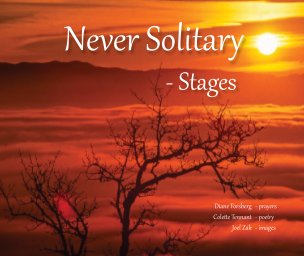 Never Solitary -Stages book cover