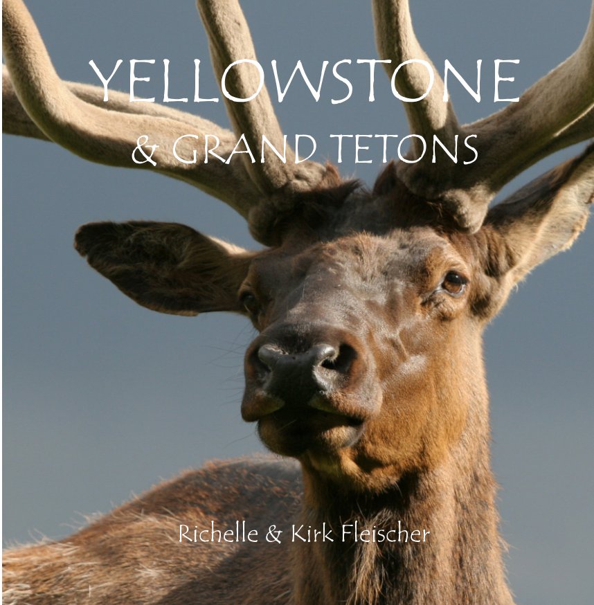 View Yellowstone and Grand Tetons (Lg) by Richelle and Kirk Fleischer