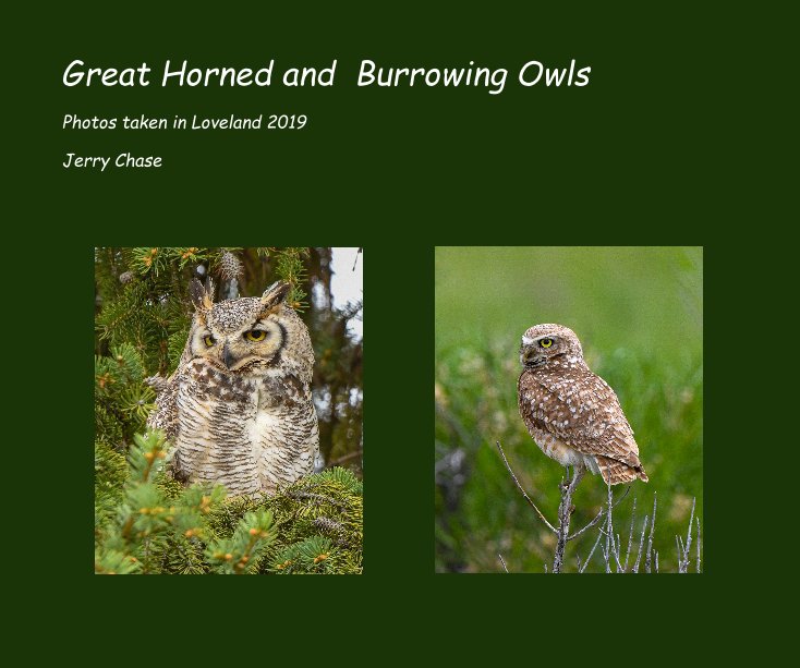 View Great Horned and Burrowing Owls by Jerry Chase