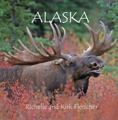 Alaska (Lg) book cover
