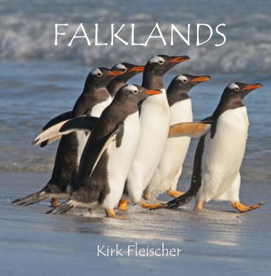 Falklands (Lg) book cover
