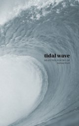 Tidal Wave book cover