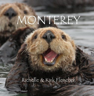 Monterey (Lg) book cover