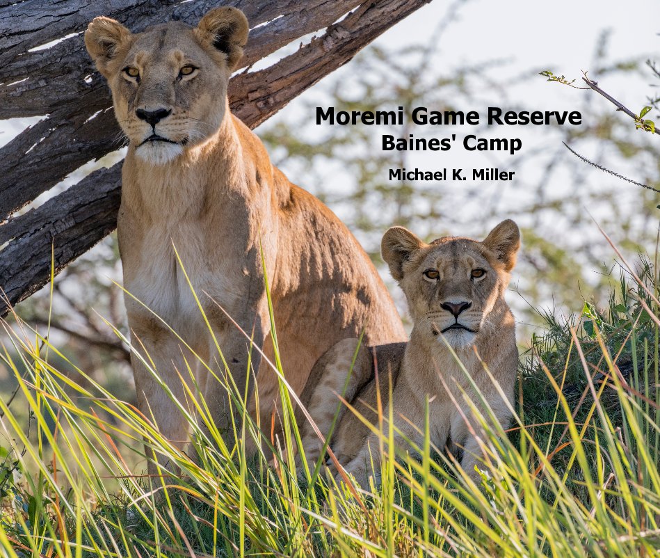 View Moremi Game Reserve Baines' Camp by Michael K. Miller
