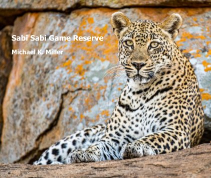 Sabi Sabi Game Reserve book cover