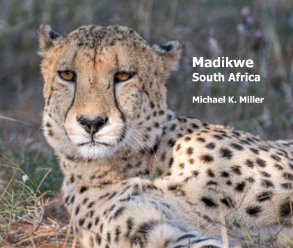 Madikwe book cover
