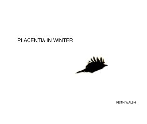 Placentia In Winter book cover