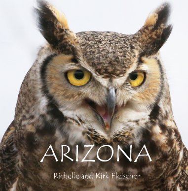 Arizona (Lg) book cover