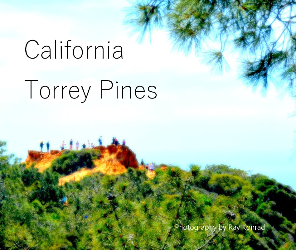 View California Torrey Pines by Ray Konrad