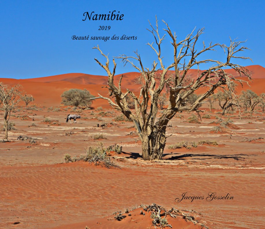 View Namibie by Jacques Gosselin