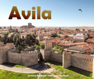 Visite des Plus Belles Villes d'Espagne: Avila book cover