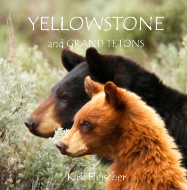 Yellowstone - Tetons (Lg) book cover