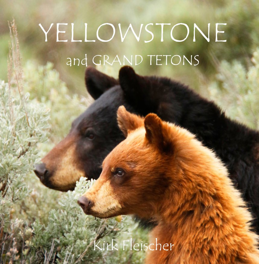 Ver Yellowstone - Tetons (Lg) por Kirk Fleischer