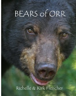 Bears of Orr book cover