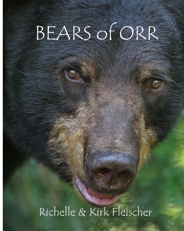 View Bears of Orr by Richelle and Kirk Fleischer