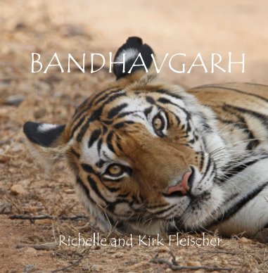 Bandhavgarh (Lg) book cover