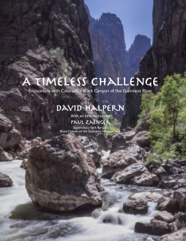 A Timeless Challenge-Revised Edition book cover