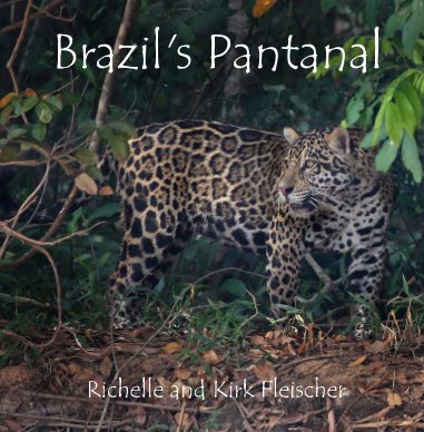 Brazil's Pantanal (Lg) book cover