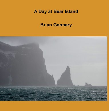 A Day at Bear Island book cover