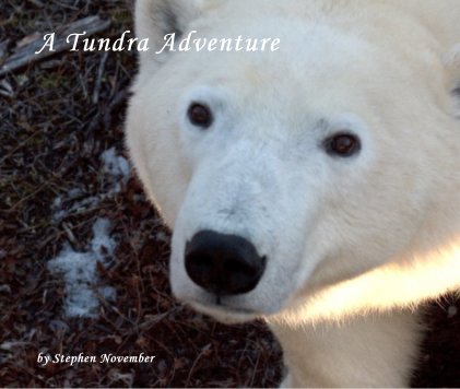 A Tundra Adventure book cover