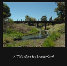 A Walk Along San Leandro Creek book cover