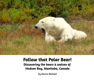 Follow that Polar Bear! book cover