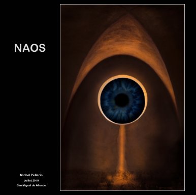 Naos book cover