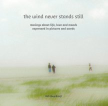 the wind never stands still book cover