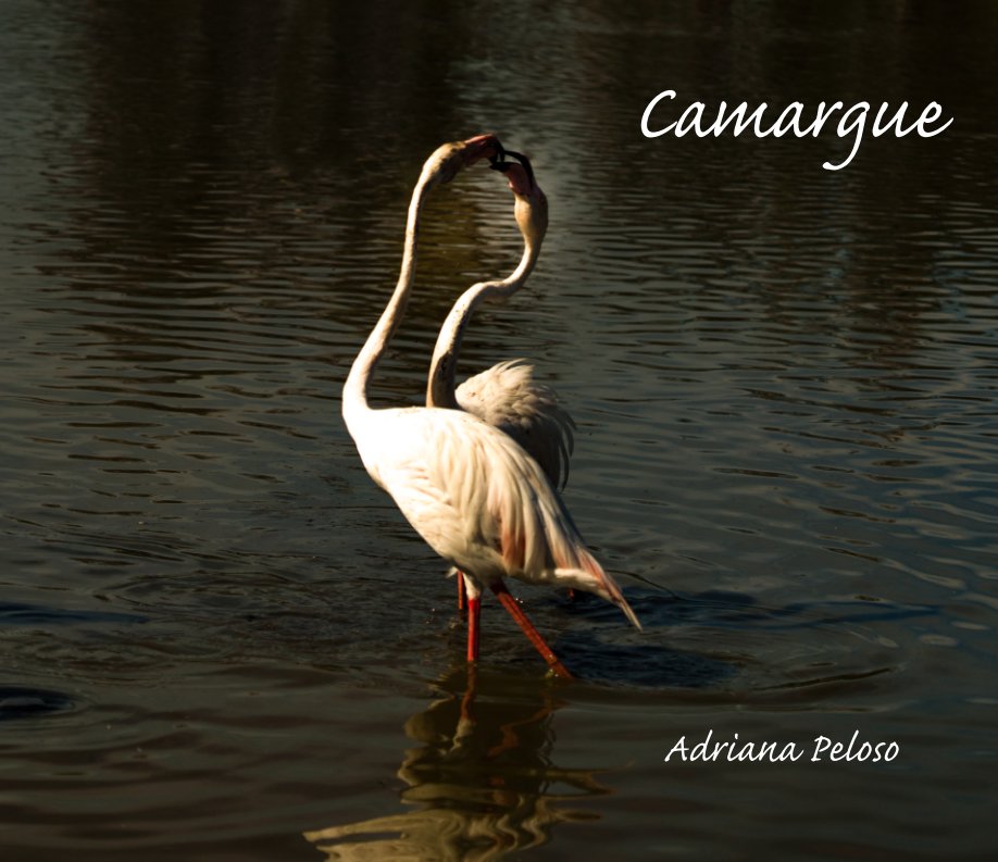 View Camargue by Adriana Peloso