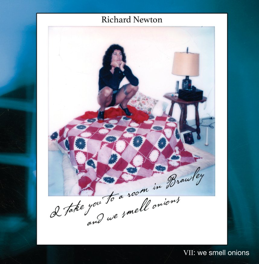 View Richard Newton vol.7: I take you to a room in Brawley and we smell onions by Richard Newton
