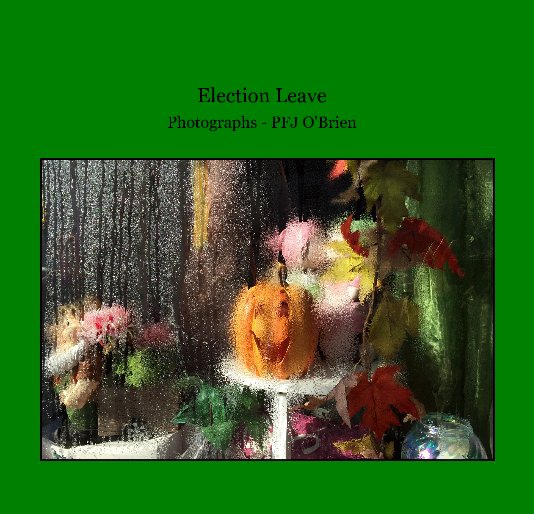 View Election Leave by PFJ O'Brien