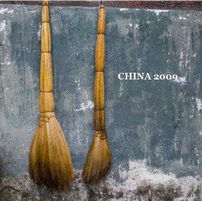 CHINA 2009 book cover