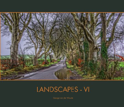 Landscapes VI book cover