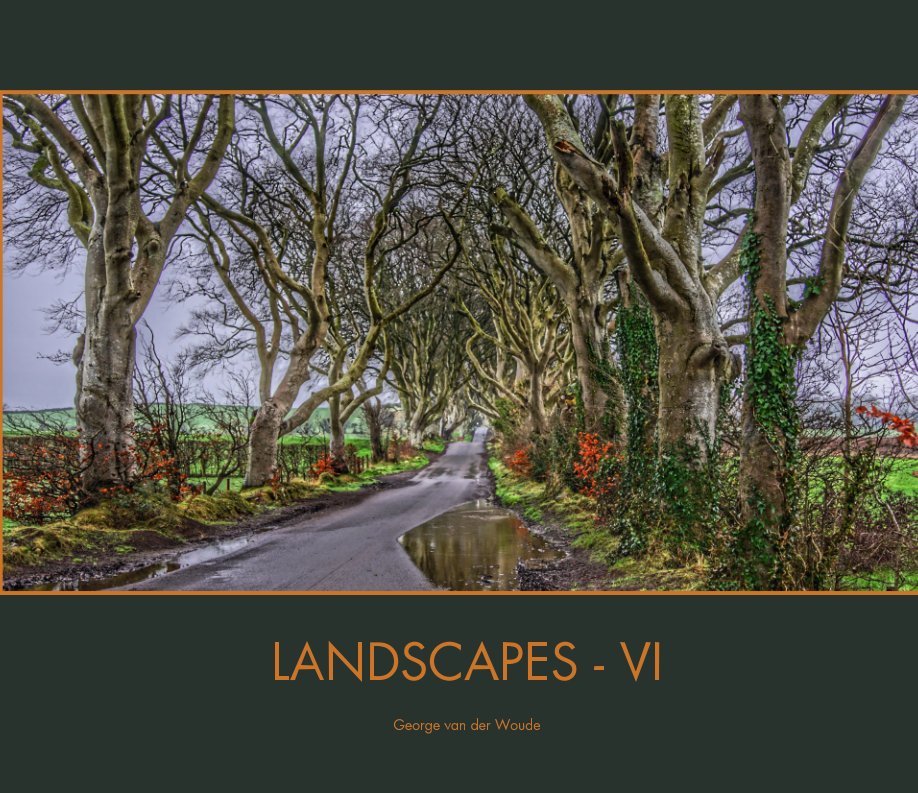 Ver Landscapes VI por George van der Woude
