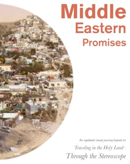 Middle Eastern Promises book cover