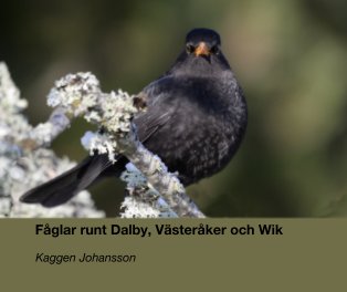 Fåglar runt Dalby, Västeråker och Wik book cover