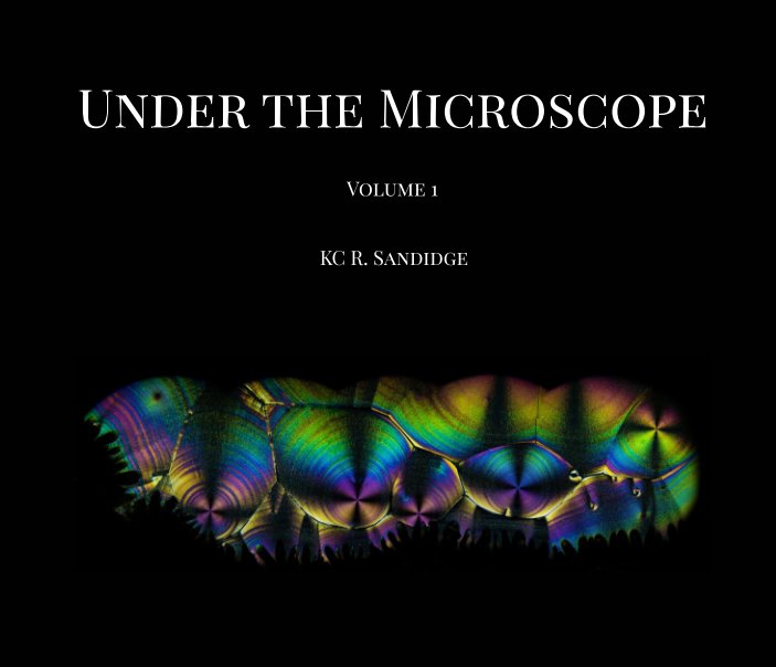 View Under the Microscope by KC R. Sandidge