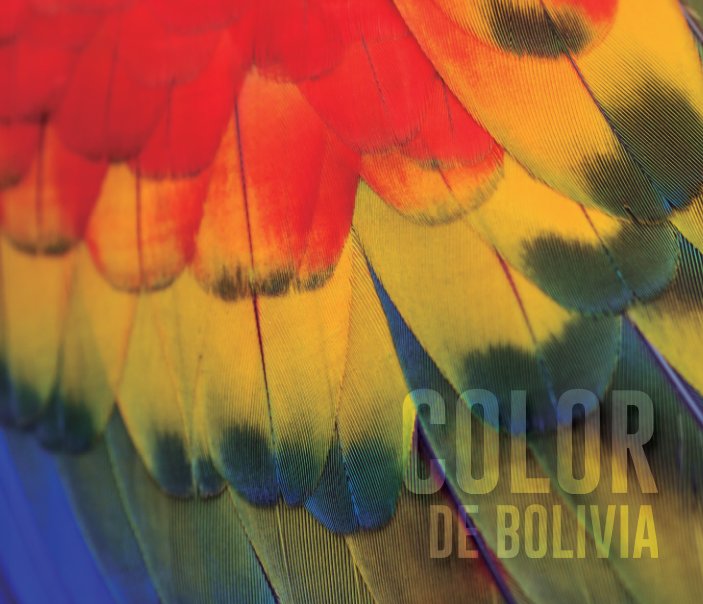 Bekijk Color de Bolivia op Alberto Lázaro Bartolomé