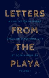 Letters from the Playa book cover