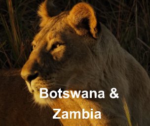 Botswana and Zambia 2019 book cover