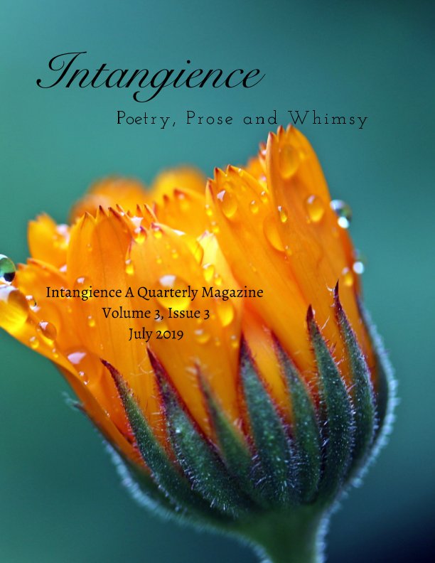 View Intangience: A Quarterly Magazine Volume 3, Issue 3 by M. Kari Barr